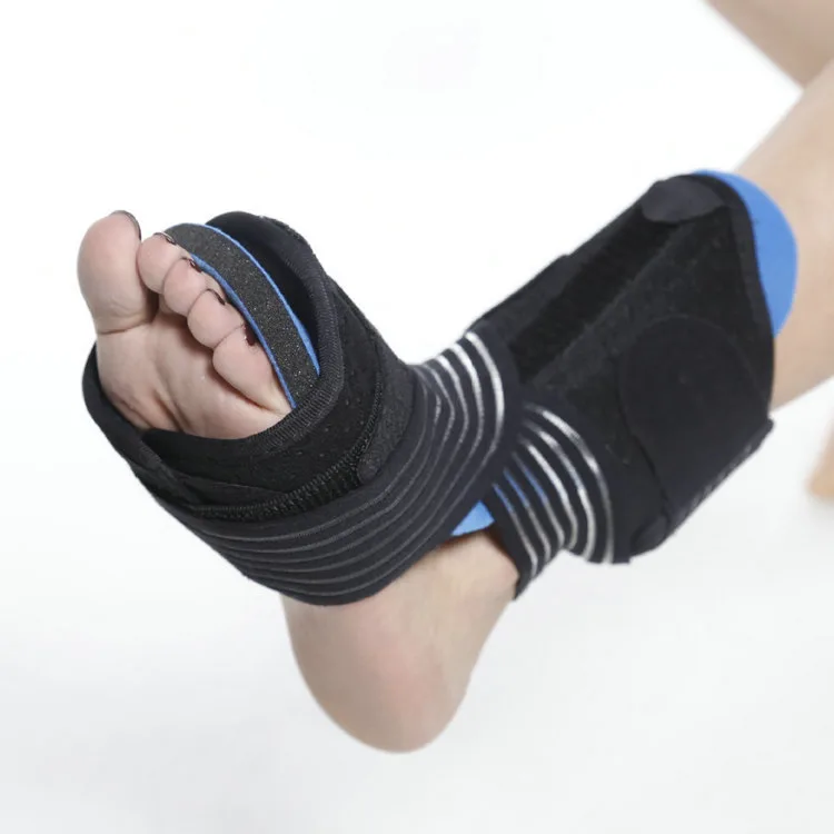 Sports protector