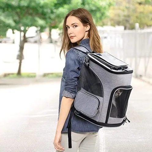 Portable Breathable Mesh Backpack For Cats And Dogs For Outings